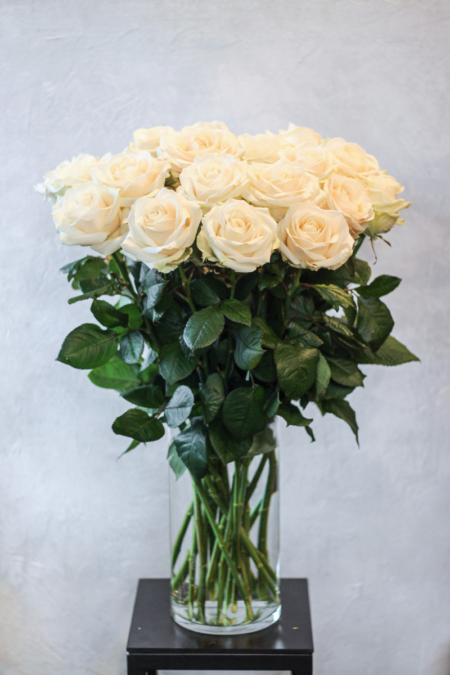 Baltos rožės „Avalanche”