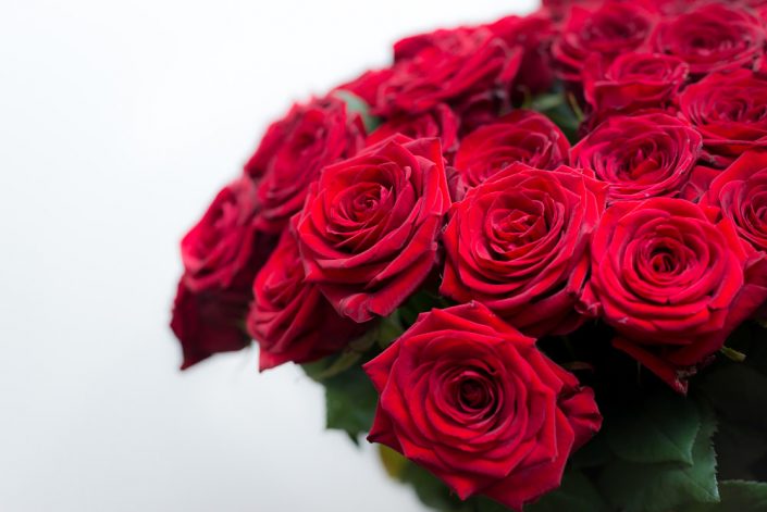 Raudonos rožės "Red Naomi"