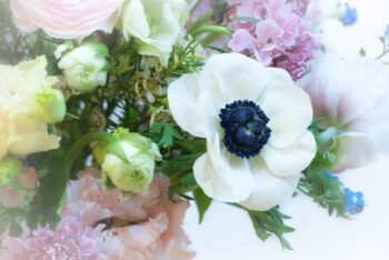 Vėdrynų ir plukių puokštė iš arti