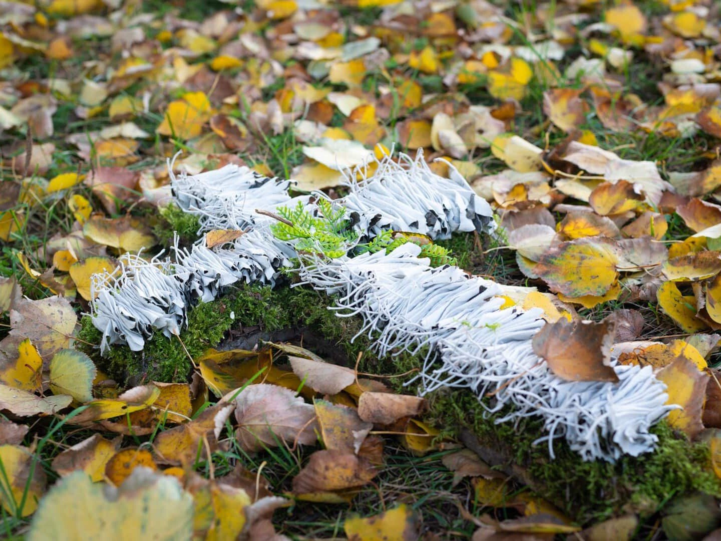 Kursai floristams – Vėlinės ir gedulas. Kryželis Vėlinėms geltonų lapų fone