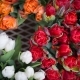 Tulpės, turbanas ir kovo 8-oji