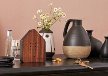 Čiulbanti dėžutė (riešutmedis) interjere