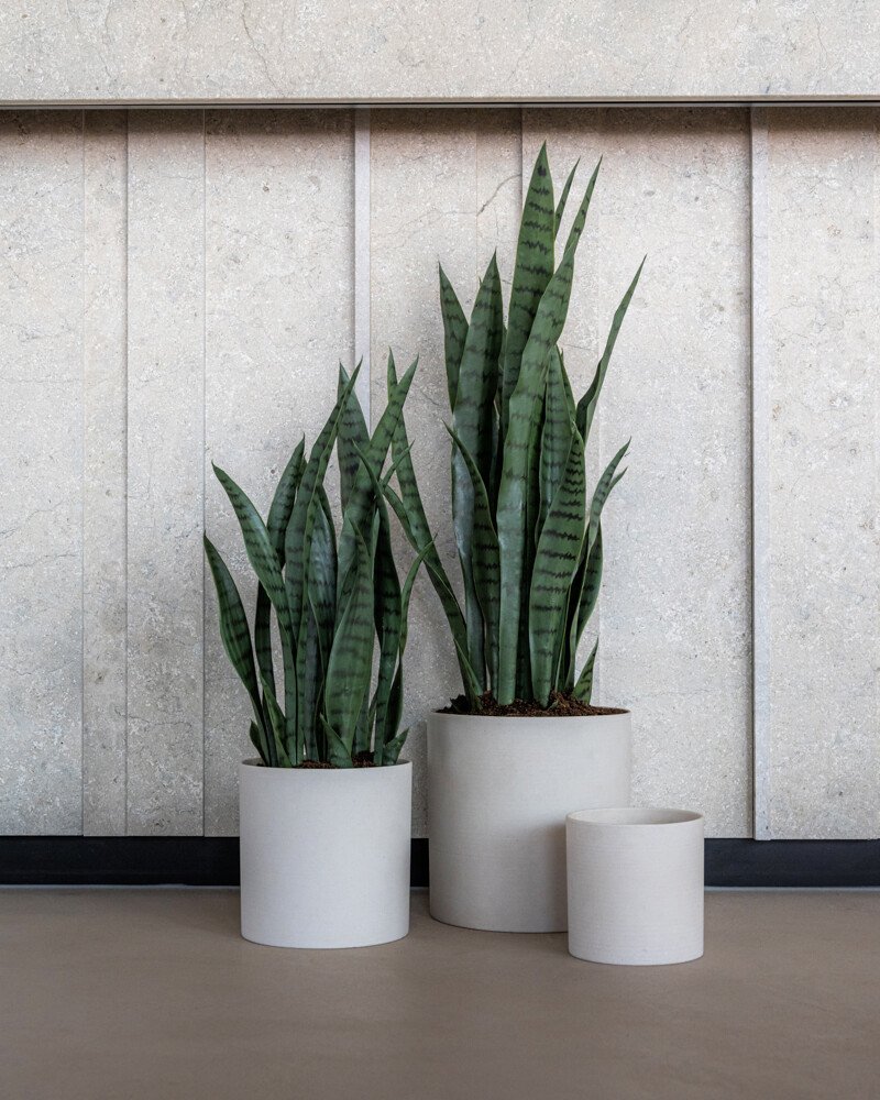 Pottery Pots Refined