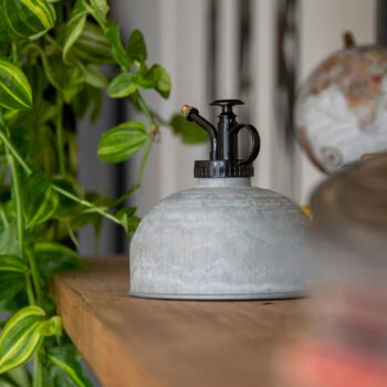 Lapinių augalų purkštuvas ant stalo