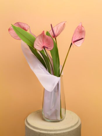 Antūrių puokštė su įpakavimu